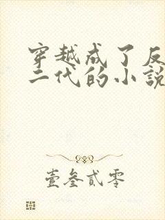 穿越成了反派富二代的小说