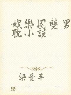 娱乐圈双男主原耽小说