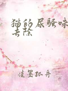 猫的尿骚味怎么去除