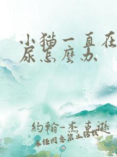 小猫一直在床上尿怎么办