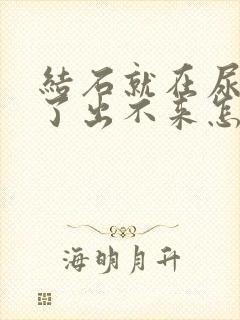 结石就在尿道口了出不来怎么办