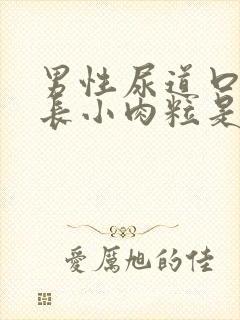 男性尿道口周围长小肉粒是怎么回事