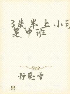 3岁半上小班还是中班