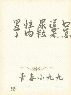 男性尿道口上长了肉粒是怎么回事