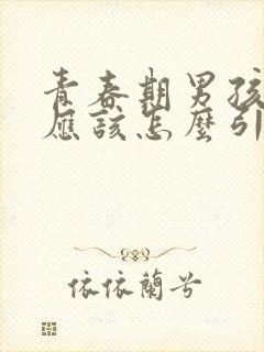 青春期男孩叛逆应该怎么引导