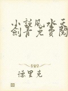 小说风水天医皮剑青免费阅读