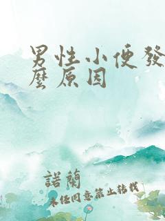 男性小便发黄什么原因