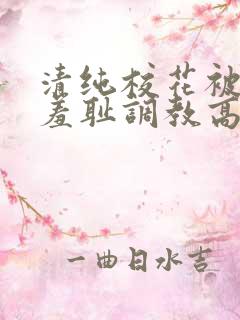 清纯校花被民工羞耻调教高h