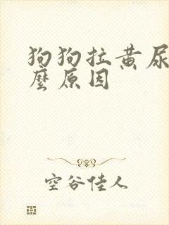 狗狗拉黄尿是什么原因