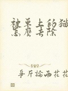 被单上的猫尿味怎么去除