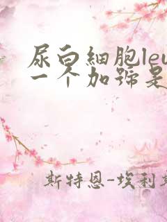 尿白细胞leu一个加号是什么意思