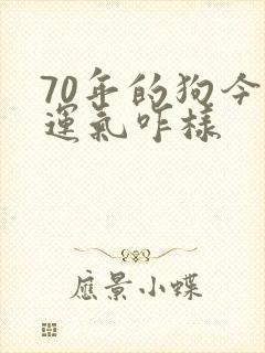 70年的狗今年运气咋样