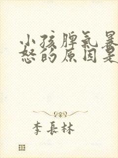 小孩脾气暴躁易怒的原因是什么?