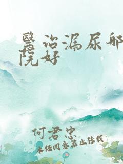 医治漏尿哪个医院好