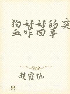 狗好好的突然尿血咋回事