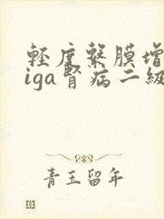 轻度系膜增生性iga肾病二级