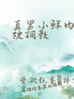 直男小鲜肉小陈被调教