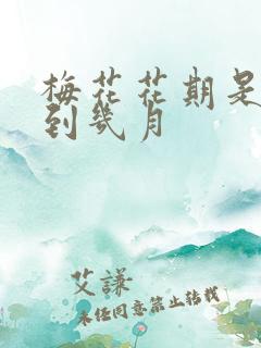 梅花花期是几月到几月