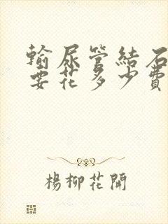 输尿管结石治疗要花多少费用