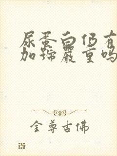 尿蛋白仍有3个加号严重吗