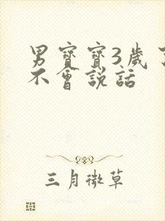 男宝宝3岁了还不会说话