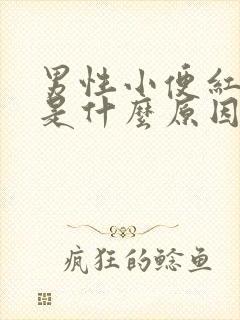 男性小便红色的是什么原因