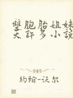 双胞胎姐妹乐翻天许多小说说免费