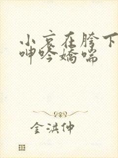 小哀在胯下疯狂呻吟娇喘