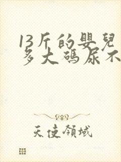 13斤的婴儿穿多大码尿不湿