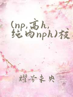 (np,高h,纯肉nph)校园