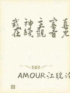 武神主宰真人版在线观看免费全集