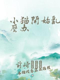 小猫开始乱尿怎么办