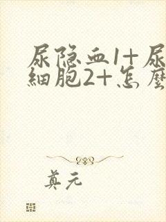 尿隐血1+尿白细胞2+怎么回事