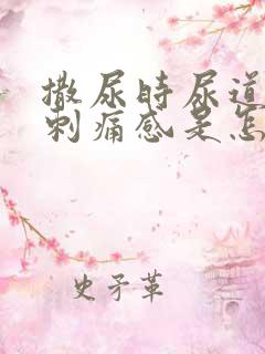 撒尿时尿道口有刺痛感是怎么回事