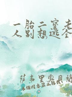 一胎二宝老婆大人别想逃全文免费阅读