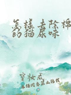 怎样去除棉被上的猫尿味