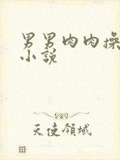男男肉肉操屁眼小说