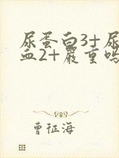 尿蛋白3+尿潜血2+严重吗