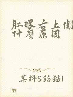 肚眼右上侧疼是什么原因