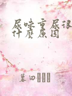 尿味重尿很臭是什么原因