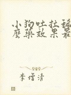 小狗吐拉稀吃什么药效果最好