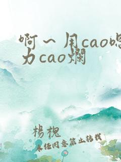 啊～用cao嗯力cao烂