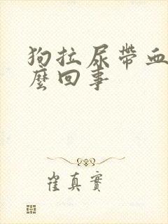 狗拉尿带血是怎么回事