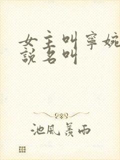 女主叫宁婉的小说名叫