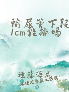 输尿管下段结石1cm能排吗