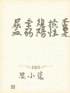 尿常规检查尿潜血弱阳性是什么意思