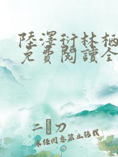 陆泽衍林栖小说免费阅读全文最新章节列表