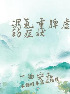 湿气重脾虚气虚的症状