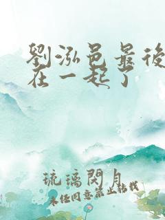 刘泓邑最后和谁在一起了