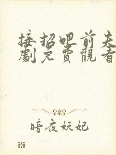 接招吧前夫哥短剧免费观看